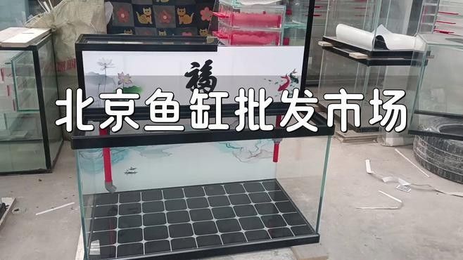 如何聯系北京大型水族市場（北京主要大型水族市場聯系方式及地址信息及地址信息）