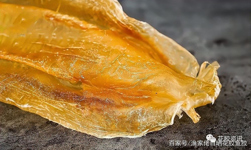 金龍魚膠和北海魚膠的價格差異大嗎（金龍魚膠和北海魚膠的價格差異）