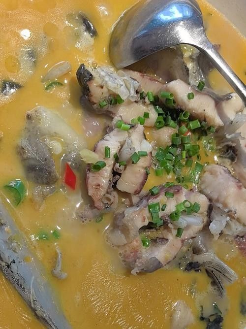 河源尋龍魚餐廳有哪些特色菜（河源尋龍魚餐廳哪家口碑最好？）