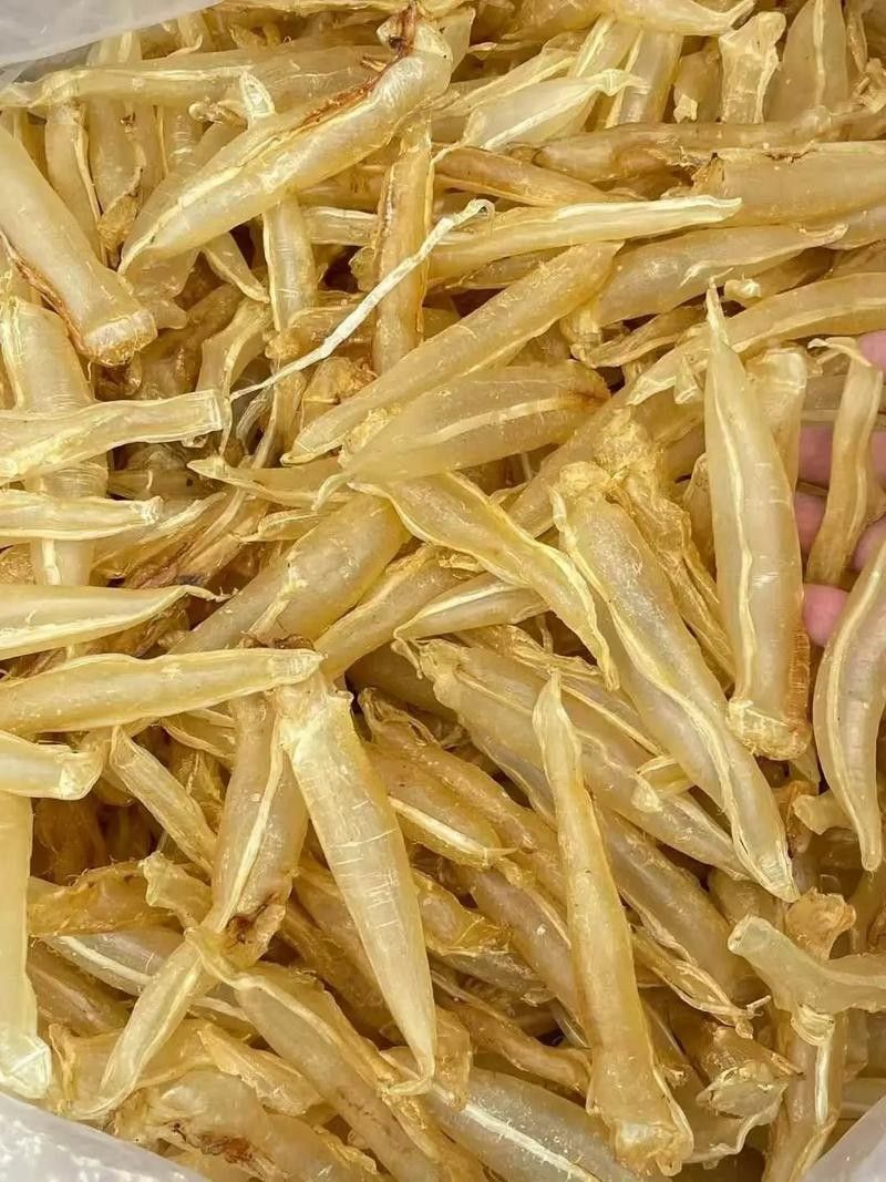 金龍魚膠有哪些功效？（金龍魚膠有什么功效和作用）