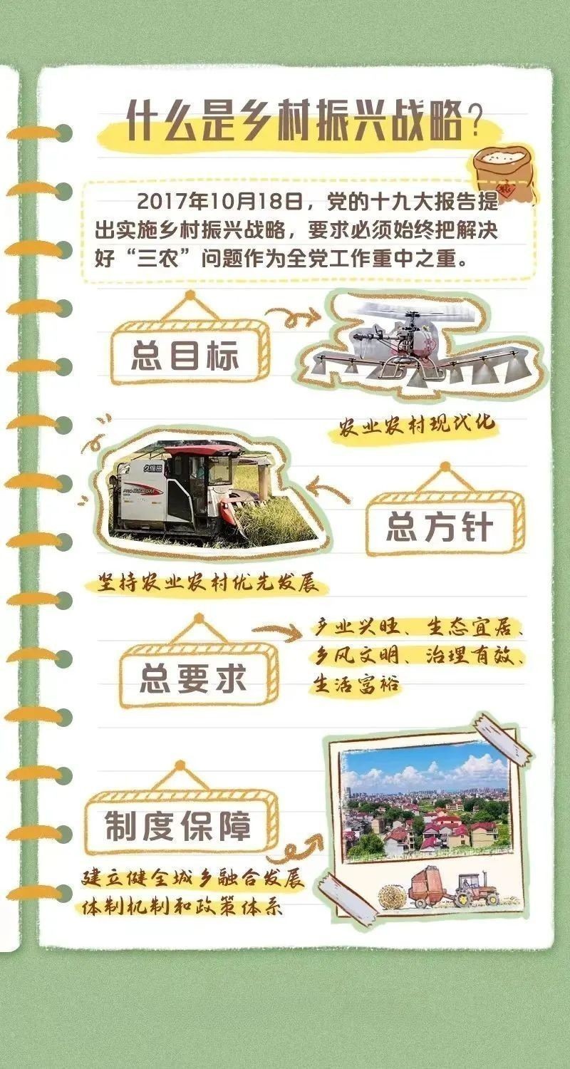 項(xiàng)目對(duì)當(dāng)?shù)剞r(nóng)民的收入影響如何？（鄉(xiāng)村振興新“稻”路中國(guó)新聞網(wǎng)01:24考考你）
