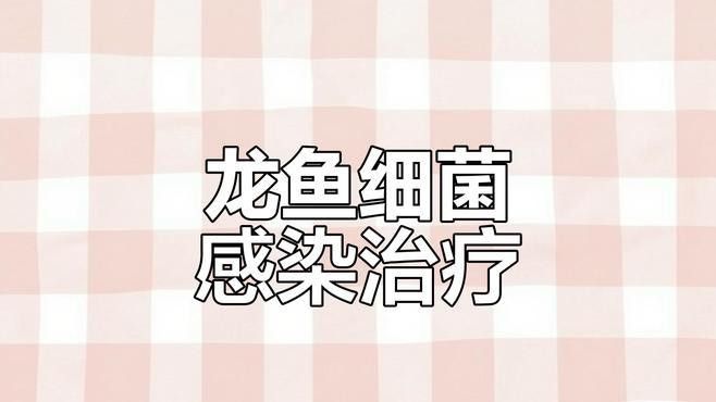 紅福龍魚(yú)如何飼養(yǎng)（紅福龍魚(yú)的正確飼養(yǎng)方法）