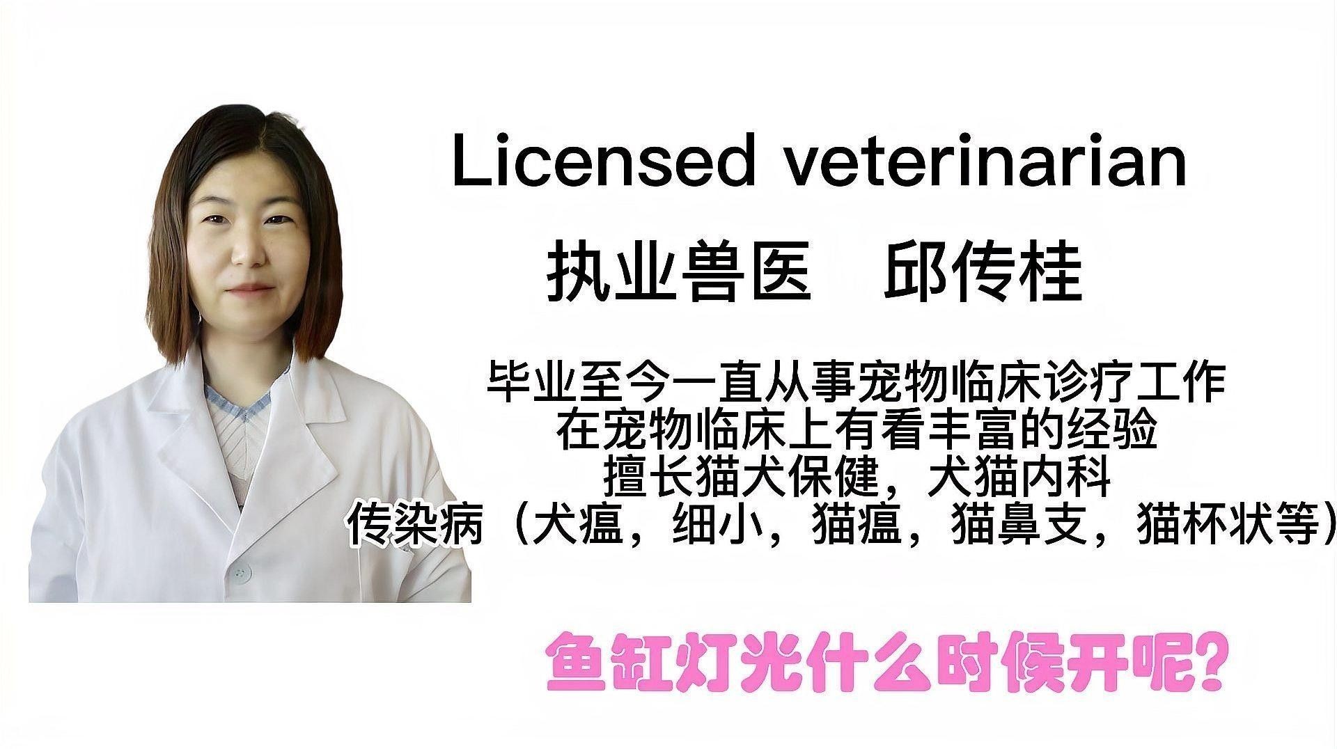 魚缸燈的最佳使用時間（關于魚缸燈的最佳使用時間，魚缸燈的最佳使用時間指南）