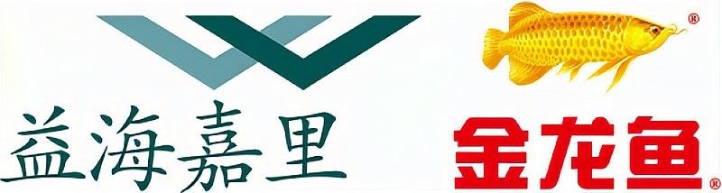 金龍魚生產(chǎn)基地有哪些（新浪財(cái)經(jīng)，金龍魚食品集團(tuán)在哪里）