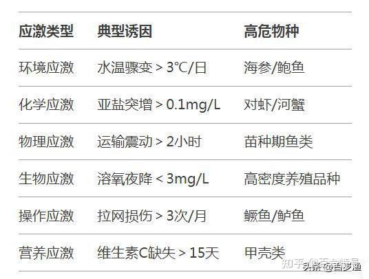 金龍魚壓養有哪些風險？（金龍魚壓養可能導致水質惡化）