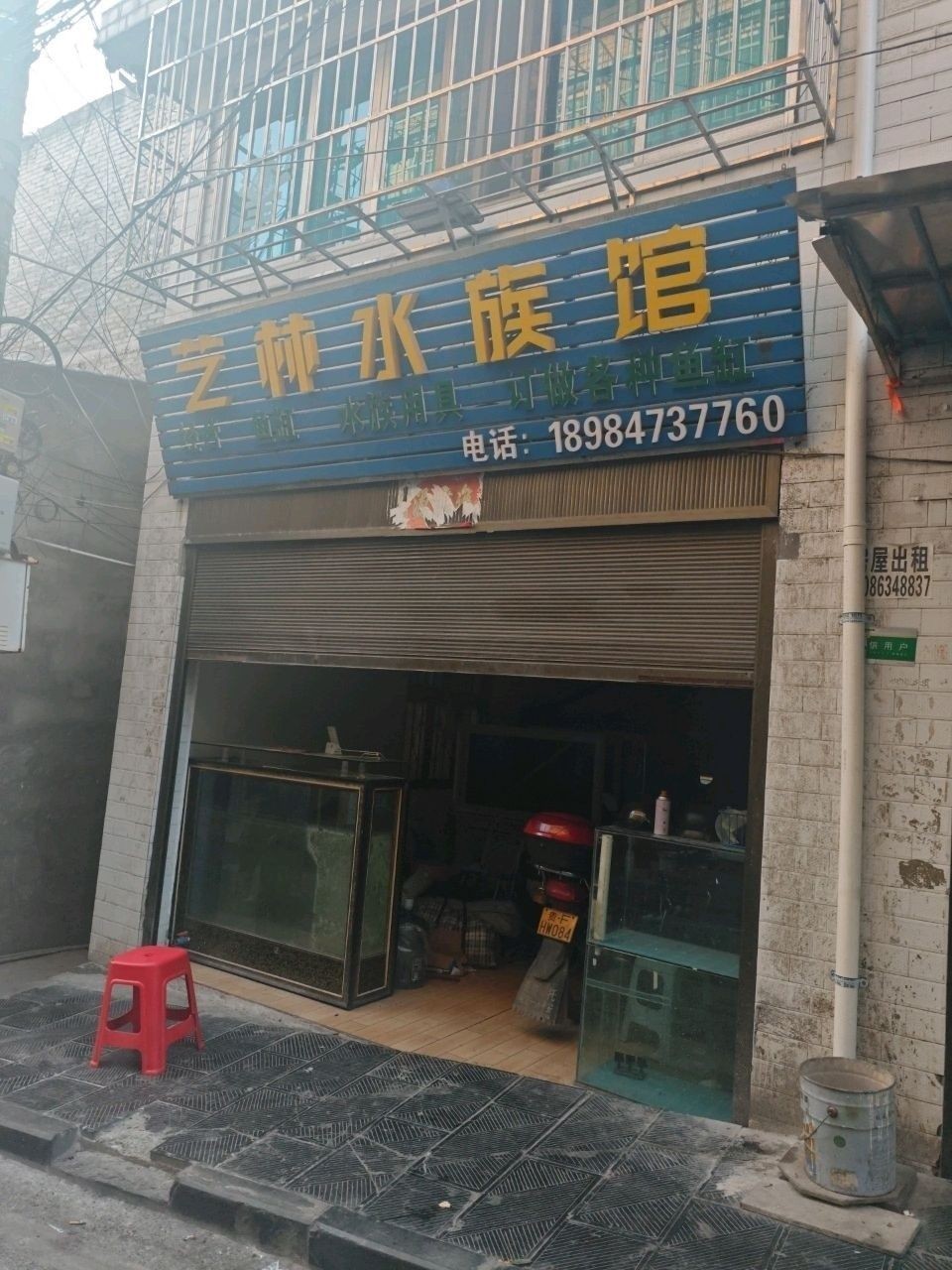 <strong><mark>大方</mark></strong>哪個水族館龍魚好？祥龍魚場龍魚（廣州龍魚養殖的奧秘：祥龍水族館—祥龍水族館）