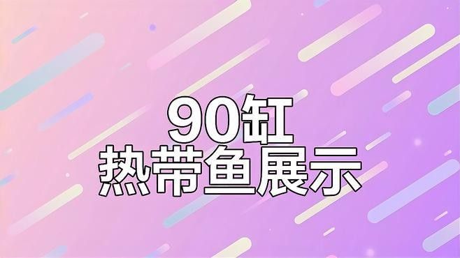 90缸養龍魚的最佳品種是什么？（0缸養龍魚最佳品種選擇）