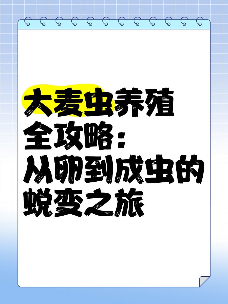 大麥蟲不喂能活多久？（大麥蟲不吃東西能活多久） 大麥蟲不喂能活多久？（大麥蟲不吃東西能活多久） 龍魚百科 第5張
