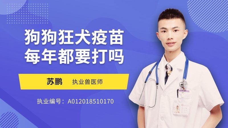 保定有沒有推薦的龍魚獸醫？（保定龍魚獸醫哪里找？）