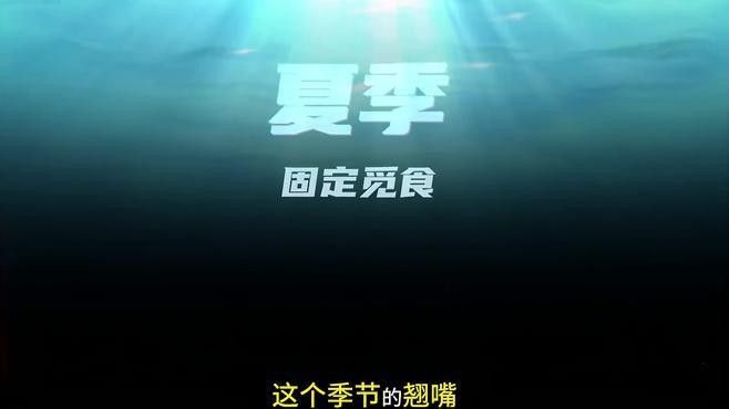 什么季節釣龍魚翹嘴最好（釣龍魚和翹嘴的最佳季節是幾月份到幾月份知了愛學）