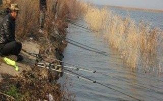什么季節釣龍魚翹嘴最好（釣龍魚和翹嘴的最佳季節是幾月份到幾月份知了愛學）
