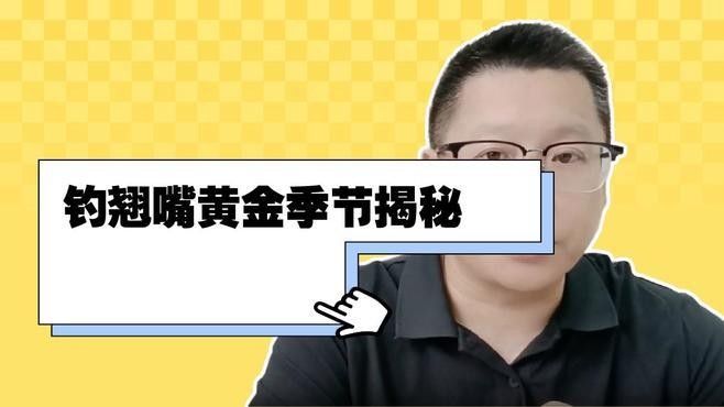 什么季節釣龍魚翹嘴最好（釣龍魚和翹嘴的最佳季節是幾月份到幾月份知了愛學）