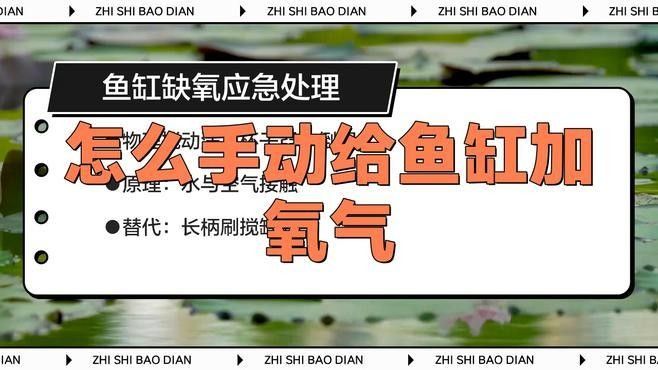 金龍魚缺氧后如何急救？（金龍魚缺氧了怎么辦）