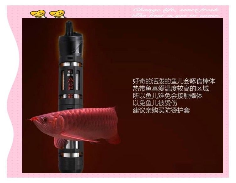 如何正確安裝和使用魚缸加熱器？（如何正確安裝和使用魚缸加熱器）