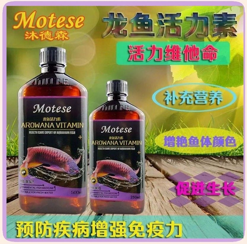 如何判斷龍魚失衡是否恢復（如何判斷龍魚是否恢復平衡狀態） 如何判斷龍魚失衡是否恢復（如何判斷龍魚是否恢復平衡狀態） 龍魚百科 第7張