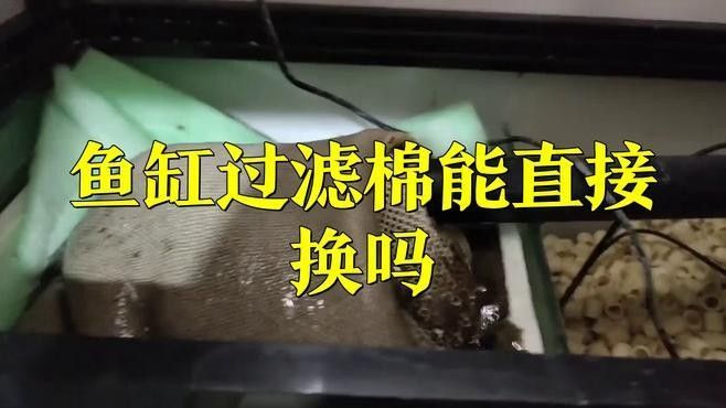 如何正確清洗和更換過濾棉（如何正確清洗和更換魚缸過濾棉）