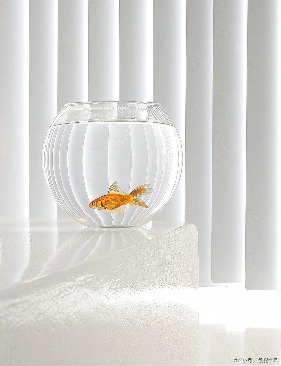 龍魚缸改草缸需要多大的燈（魚缸改草缸需要多大的燈） 龍魚缸改草缸需要多大的燈（魚缸改草缸需要多大的燈） 龍魚百科 第14張