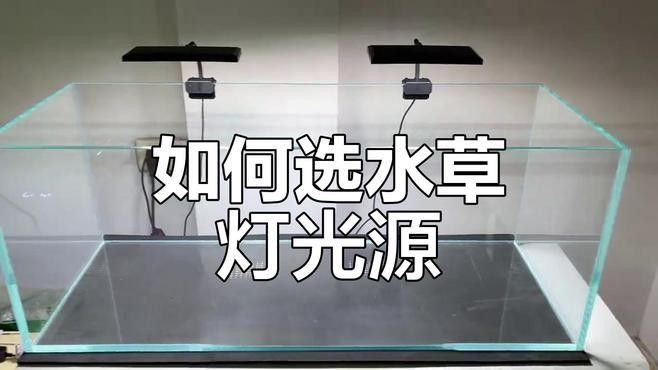 龍魚缸改草缸需要多大的燈（魚缸改草缸需要多大的燈） 龍魚缸改草缸需要多大的燈（魚缸改草缸需要多大的燈） 龍魚百科 第2張