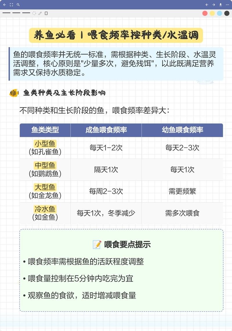 金龍魚幼苗一天喂幾次（金龍魚幼苗喂食頻率取決于其成長階段和具體環(huán)境條件）