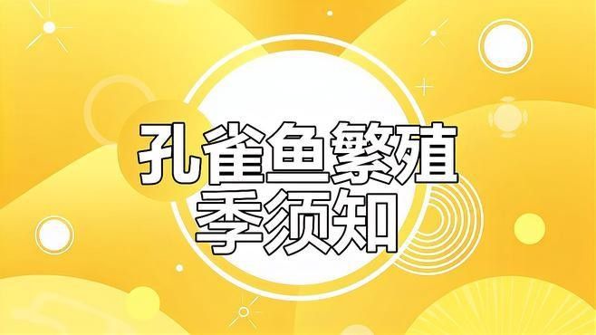 如何設置繁殖缸的水流？（養魚老道,魚缸水流走向與過濾技巧詳解）