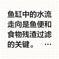 如何設置繁殖缸的水流？（養魚老道,魚缸水流走向與過濾技巧詳解）