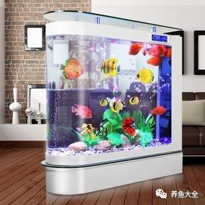 如何設置龍魚缸的加熱棒（魚缸加熱棒怎么設置）