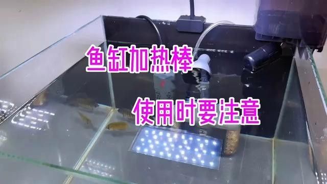 如何設置龍魚缸的加熱棒（魚缸加熱棒怎么設置）