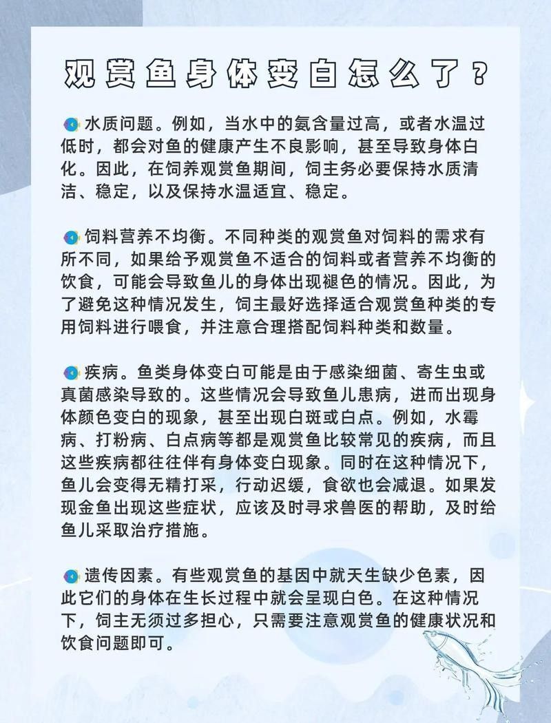 金龍魚發(fā)白不發(fā)色是病嗎（金龍魚發(fā)白了變白是怎么回事）