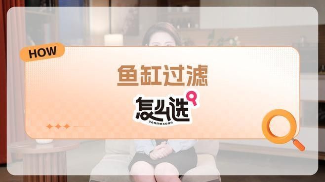 哪種過濾系統(tǒng)最適合龍魚？（魚缸過濾系統(tǒng)如何選擇）