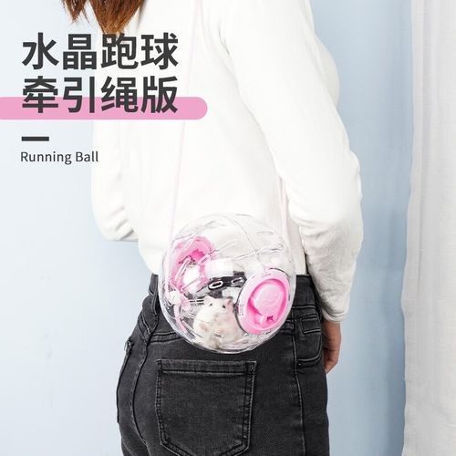 龍貓需要哪些玩具？（龍貓玩具推薦）