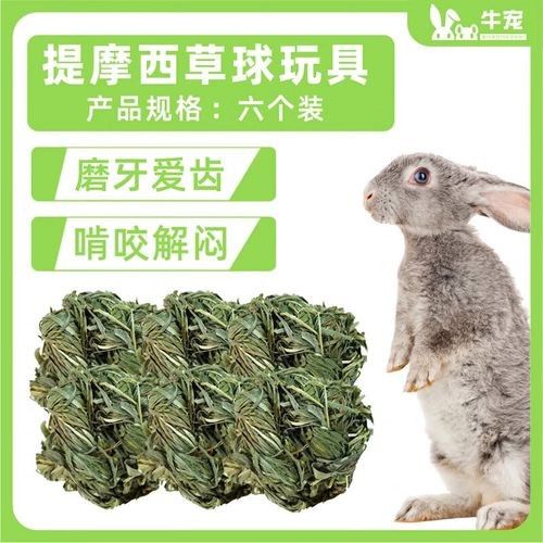 龍貓需要哪些玩具？（龍貓玩具推薦）
