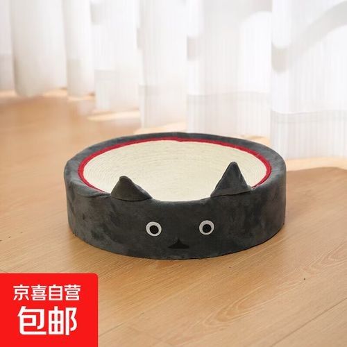龍貓需要哪些玩具？（龍貓玩具推薦）