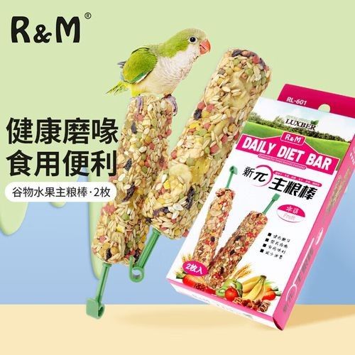龍貓需要哪些玩具？（龍貓玩具推薦）