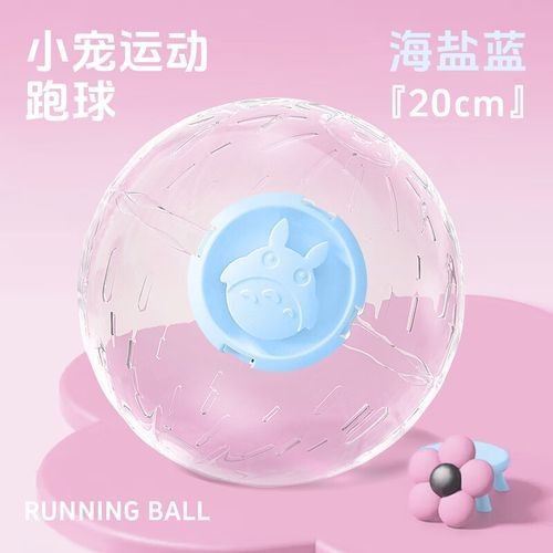 龍貓需要哪些玩具？（龍貓玩具推薦）