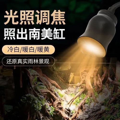 雷龍專用燈有哪些品牌推薦（雷龍專用燈怎么選）