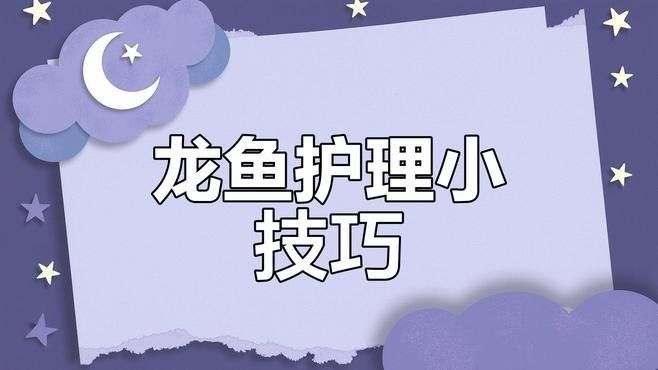 如何調(diào)整龍魚(yú)的水質(zhì)？（龍魚(yú)養(yǎng)殖中水質(zhì)ph值的關(guān)鍵步驟和建議）