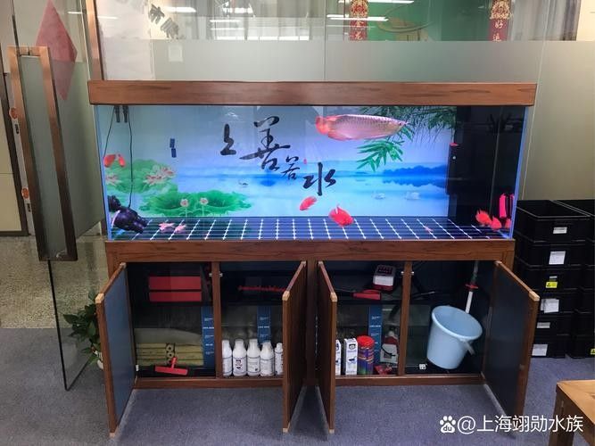 如何預防龍魚缸中的白色絮狀物(萌寵百科小團團魚缸里飄著“棉花糖”白色絮狀物別慌) 龍魚百科 第5張 如何預防龍魚缸中的白色絮狀物(萌寵百科小團團魚缸里飄著“棉花糖”白色絮狀物別慌) 如何預防龍魚缸中的白色絮狀物(萌寵百科小團團魚缸里飄著“棉花糖”白色絮狀物別慌) 龍魚百科 第5張