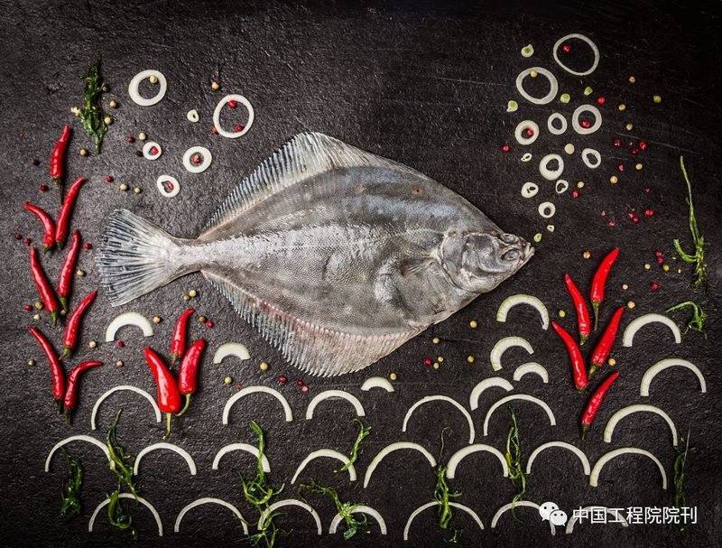 金龍魚芯片有哪些技術(shù)優(yōu)勢（金龍魚芯片的技術(shù)優(yōu)勢） 金龍魚芯片有哪些技術(shù)優(yōu)勢（金龍魚芯片的技術(shù)優(yōu)勢） 龍魚百科 第6張
