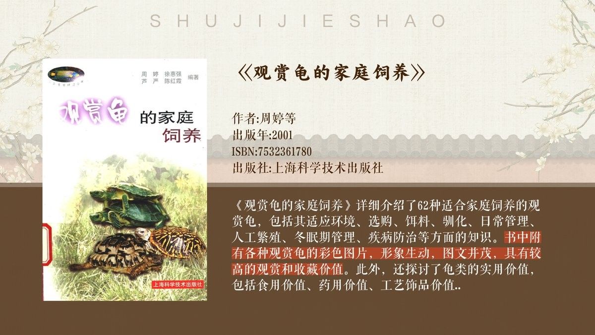 龍龜多久清潔一次合適？（龍龜多久清潔一次）