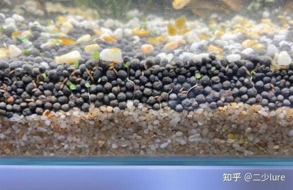 哪種底砂最適合新手？（哪種底砂最適合新手）