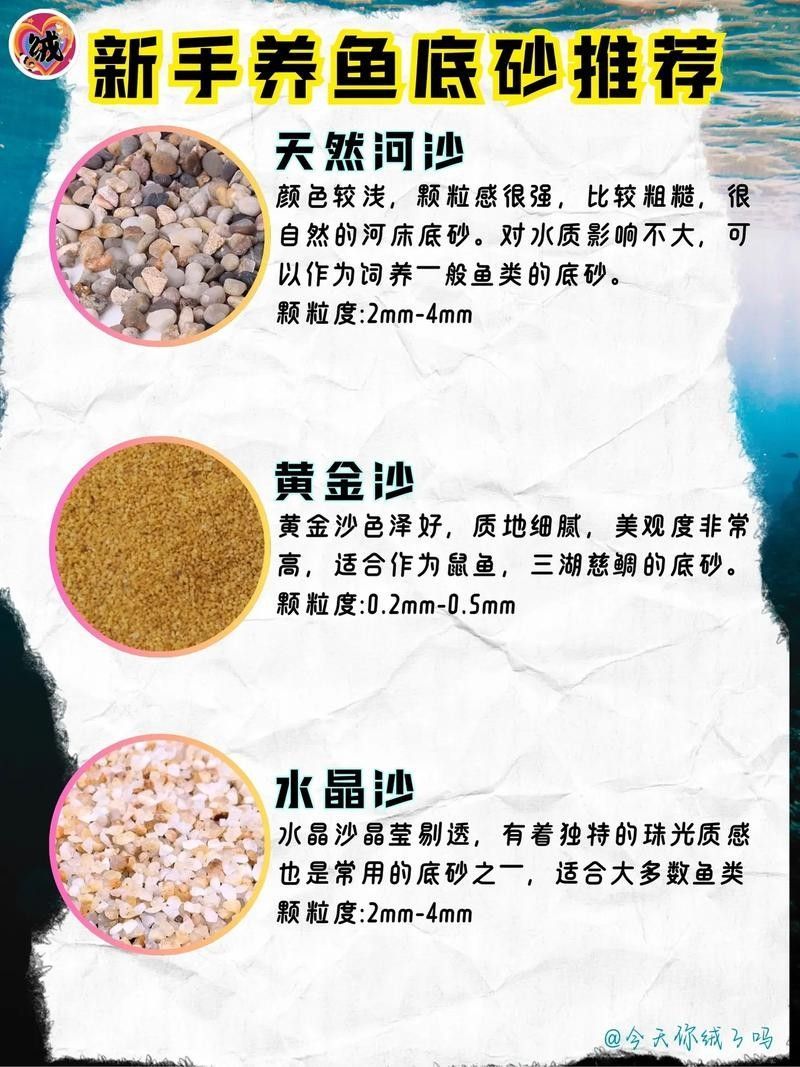 哪種底砂最適合新手？（哪種底砂最適合新手）