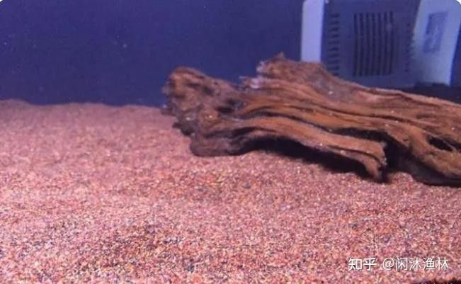 哪種底砂最適合新手？（哪種底砂最適合新手）
