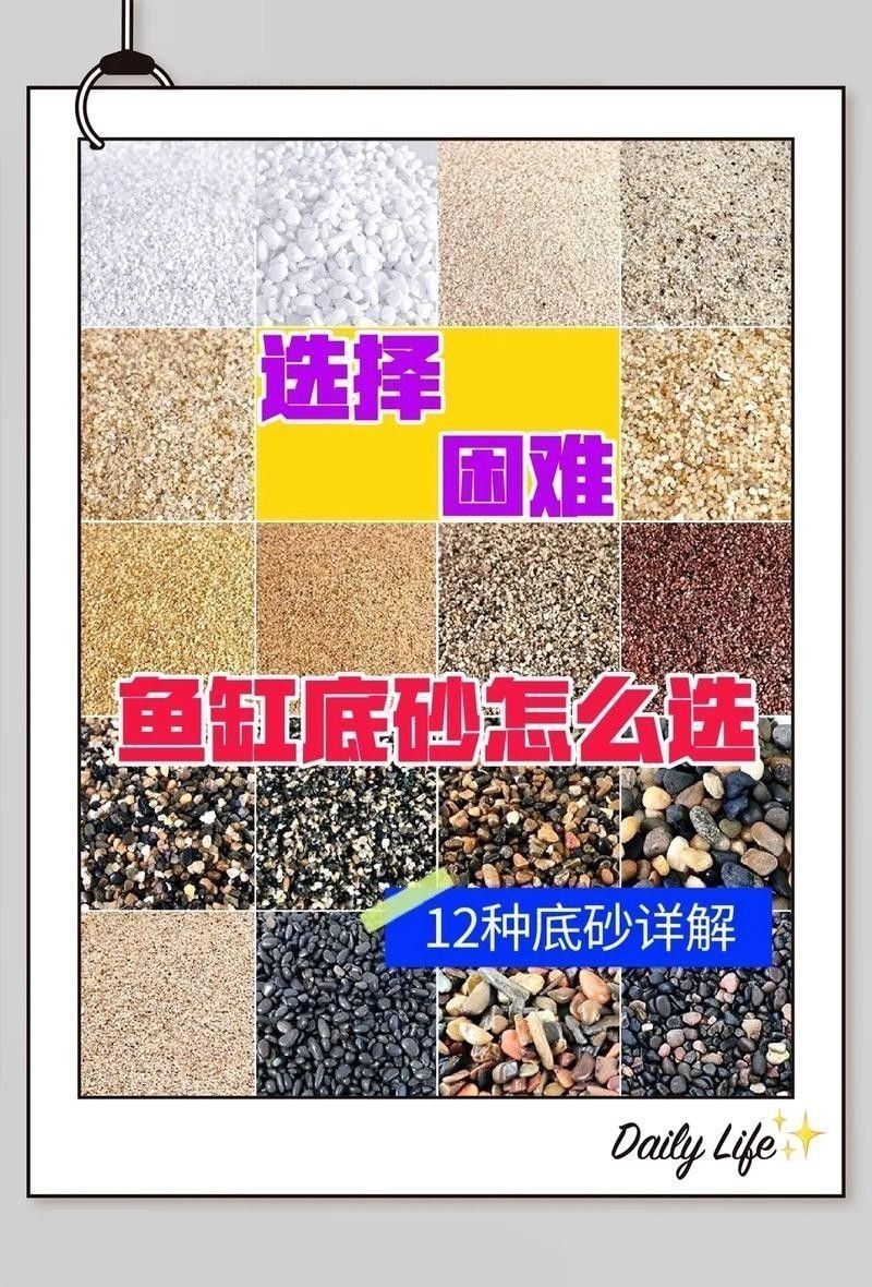 哪種底砂最適合新手？（哪種底砂最適合新手）