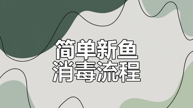 如何給大紅龍魚消毒？（大紅龍魚消毒多長時間少女覺醒30種龍魚疾病治療方法大全） 如何給大紅龍魚消毒？（大紅龍魚消毒多長時間少女覺醒30種龍魚疾病治療方法大全） 龍魚百科 第3張