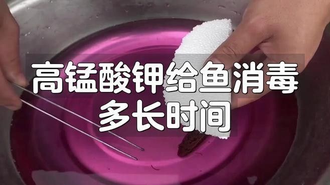 如何給大紅龍魚消毒？（大紅龍魚消毒多長時間少女覺醒30種龍魚疾病治療方法大全） 如何給大紅龍魚消毒？（大紅龍魚消毒多長時間少女覺醒30種龍魚疾病治療方法大全） 龍魚百科 第1張