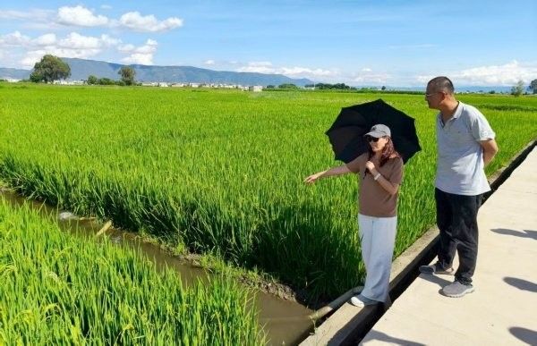 如何聯系大理州水產工作站？（大理州水產工作站如何聯系）