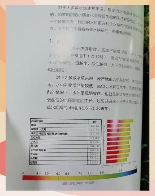 如何選擇適合高背金龍魚的魚缸（適合高背金龍魚的魚缸時需要考慮幾個關鍵因素以確保魚類的健康和魚缸的美觀）