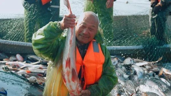 臨沭哪個水族館龍魚好？祥龍魚場龍魚（臨沭縣的祥龍魚場是一個集觀賞、教育與生態保護于一體的優質水族館）