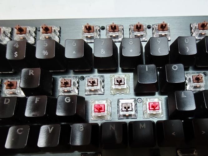 紅龍磁軸和Cherry軸有何區(qū)別？（紅龍m61磁軸鍵盤體驗） 紅龍磁軸和Cherry軸有何區(qū)別？（紅龍m61磁軸鍵盤體驗） 龍魚百科 第11張