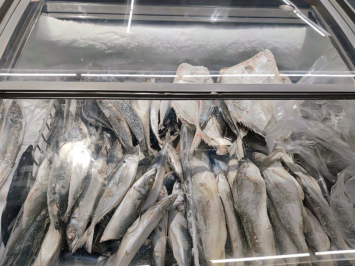 如何家庭自凍龍魚(yú)食物？（如何在家中保存龍魚(yú)？）